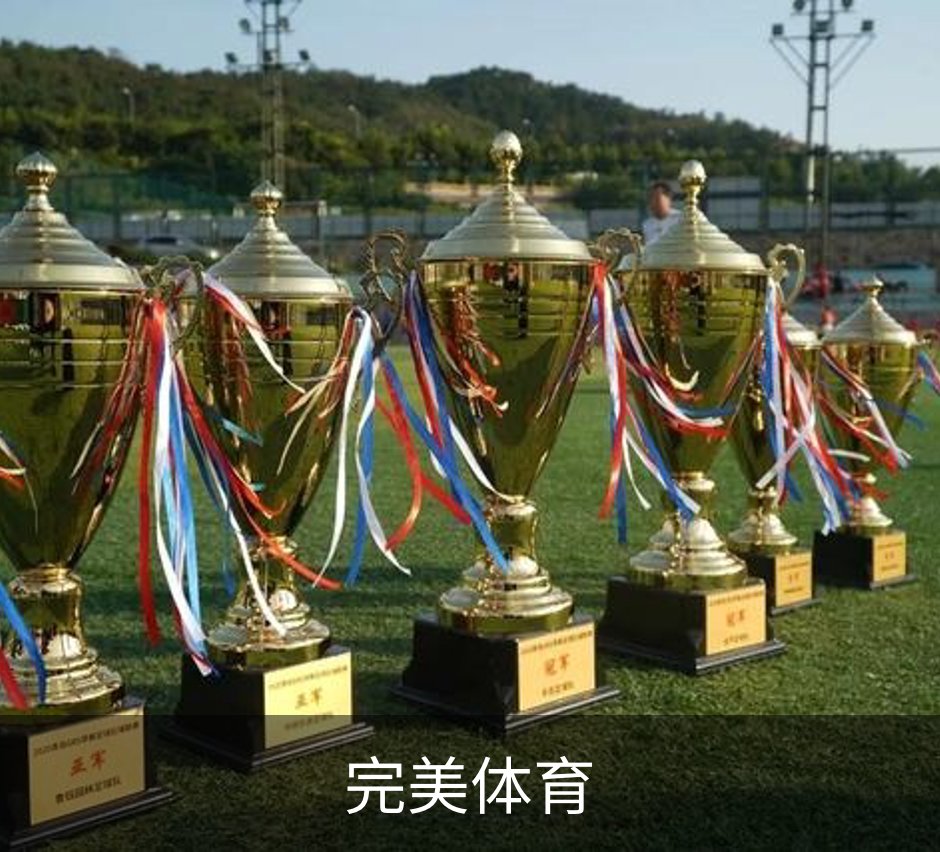 了解完美体育